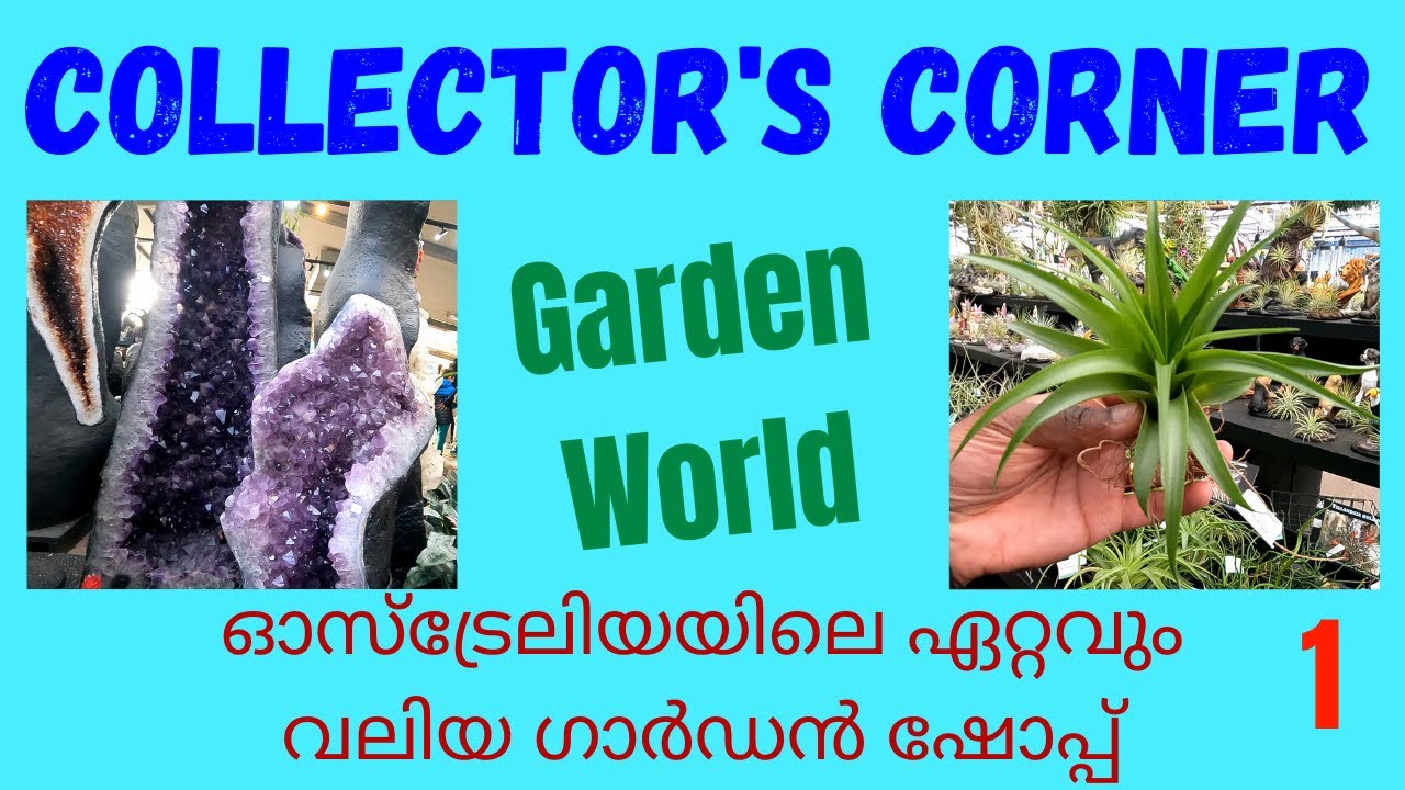 Collector's Corner / Garden World / Australia's Largest Speciality Garden Shop / Jyju's Home Videos