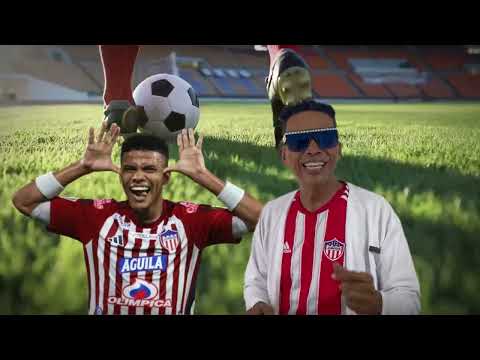 De mi Junior enamorado Parodia Lucho Chamie (Locamente Enamorado)