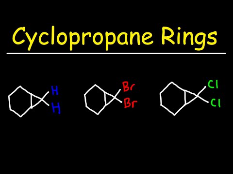 Organic Chemistry 1 Exam 2 Review Questions