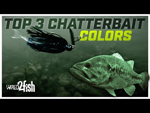 Top 3 ChatterBait Colors for All-Around Success