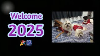 Download the video "Welcome 2025 (@k2cfur ) #welcome2025 #2025 #happynewyear #dog #doglover #petlover #k2cfur"