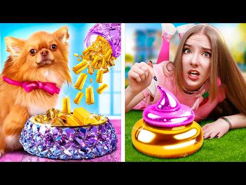 ¡Una Familia Millonaria Adoptó a un Perro Pobre! Encontramos un Perro Perdido en un Basurero