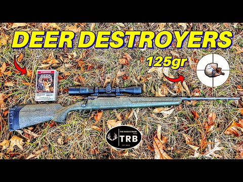 125gr Winchester Deer Season XP | 6.5 Creedmoor Review \u0026 Ammo Test