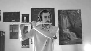 Download lagu Chen Yue - Flowers in a Riot of Color - Flute Cover mp3