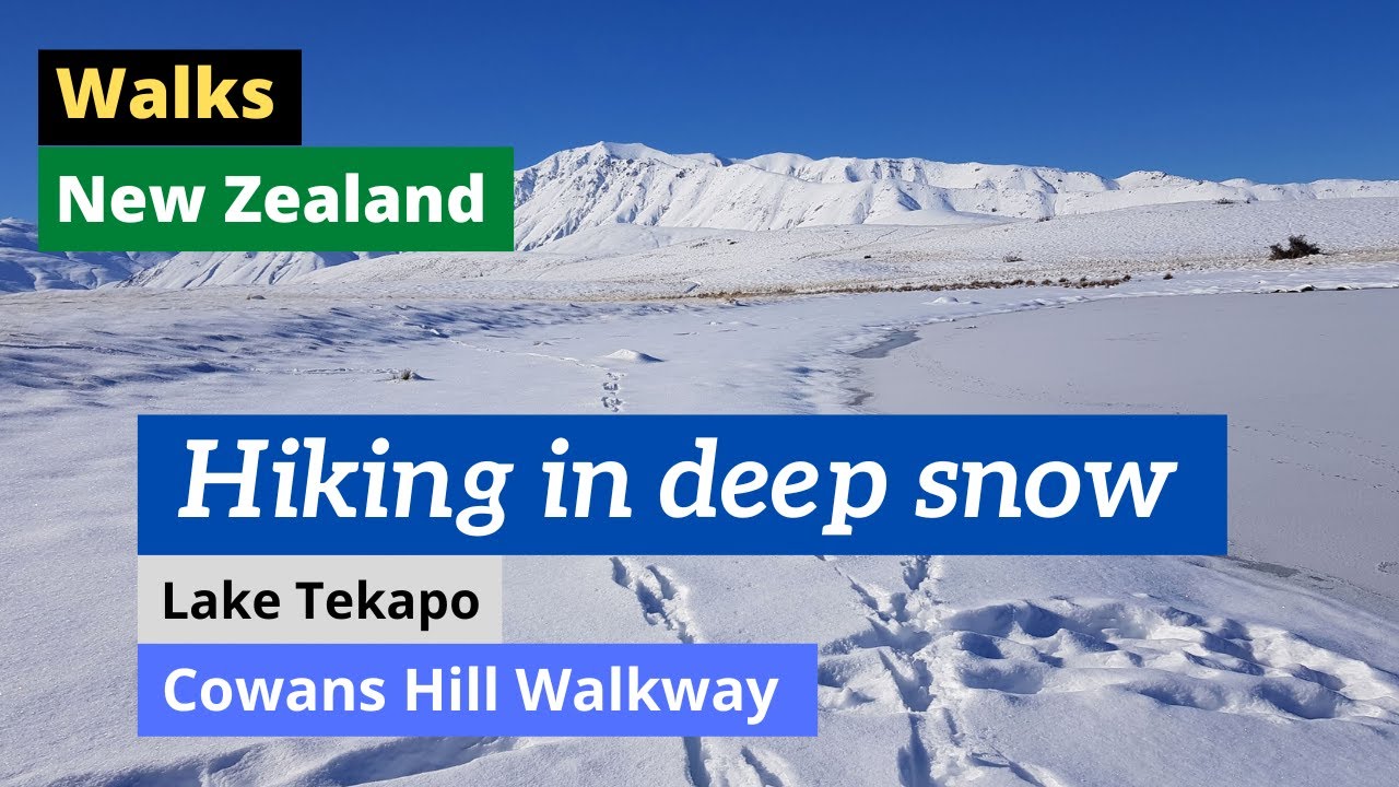 Experience a virtual stroll across Cowans Hill Walkway.