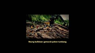 Download lagu Isi Rimba - Iwan Fals || Story Wa Kekinian mp3