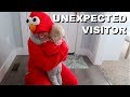 Giant Elmo A Dream Or Nightmare