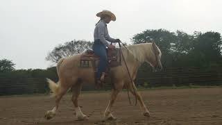Video 1