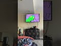 Opening To Rugrats All Growed Up 2001 VHS
