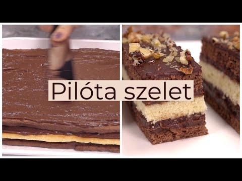 Pilóta szelet