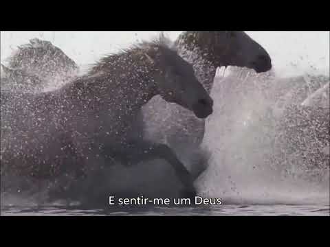 Orquestra da Terra   O Rei do Gado 1996