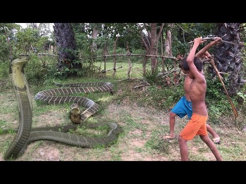 Wow! Brave Children Catch Big Snake With Bare Hand   How to Catch Big Snake in Cambodia
