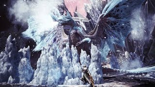 モンスターハンターワールドアイスボーン　メインモンスターと一騎討ち