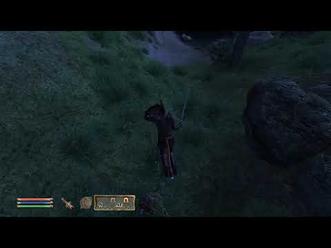 Elder Scrolls IV  Oblivion - extraño bug de nadar en el aire