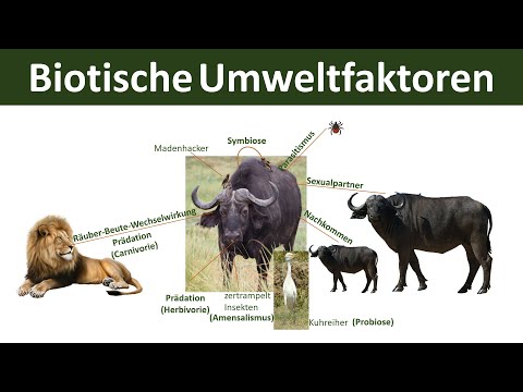 Biotic environmental factors [interspecific & intraspecific] - [Ecology, Part 6]