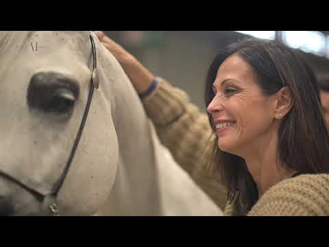 ✨ MOZN ALBIDAYER ✨⁣ Senior Mares A Class Winner, 2021 PARIS ARABIAN HORSE WORLD CHAMPIONSHIP