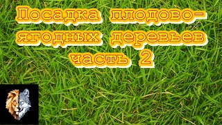 Смотреть онлайн Как лучше правильно посадить черешню осенью