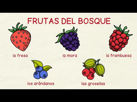 Aprender español: Las frutas 🍓 y los frutos 🌰 (nivel intermedio)