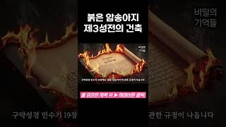 Download lagu 붉은 암송아지와 제3성전의 건축 [비밀의기억들] #제3성전 #미스터리 #예언 mp3
