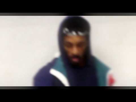 Shark Breach - Coach | Official Video | Edited By @chase.main |