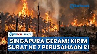 SINGAPURA TEGAS! 7 Perusahaan Karhutla Diberi Surat Teguran Hukum THPA, Denda Rp