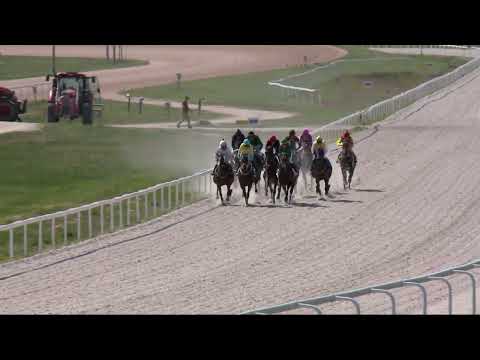 2022.05.15. 04. futam - ÁRPÁDHALMI HENDIKEP (V.o.) (szintetikus pálya)