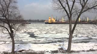 preview picture of video 'Hemus Bulk Carrier Ship IMO-9354791 Palmyra Tacony Bridge'