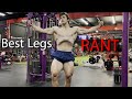 LEGS & RANT