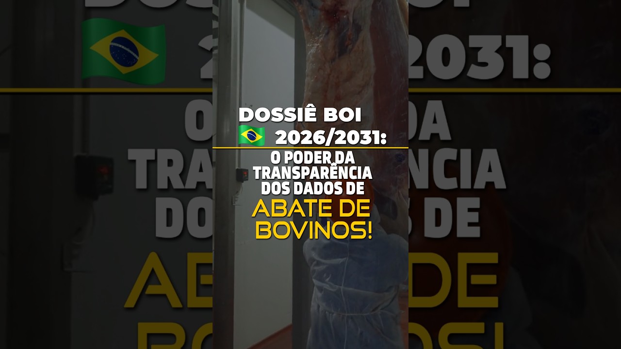 BOI BR 2026/2031: O PODER DA TRANSPARÊNCIA DOS DADOS DE ABATE DE BOVINOS!