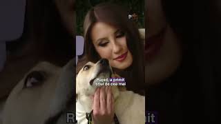 #PetStory: Povestea cățelușei Eli #digi24