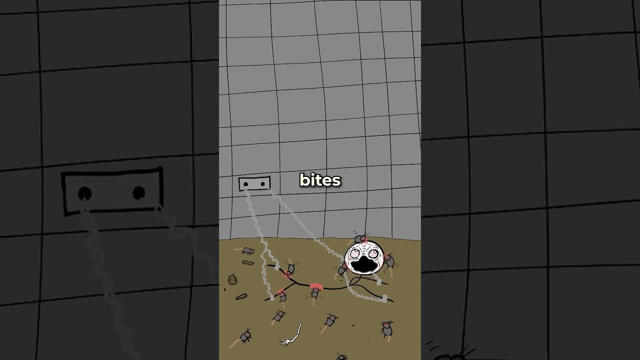 The Rat Dungeon 🐀 😱