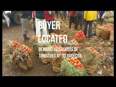 Agri-Business as Income bolster For IDPs Cameroon