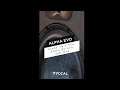 Focal Alpha 80 Evo thumbnail 6
