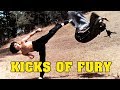Wu Tang Collection - Kicks Of Fury
