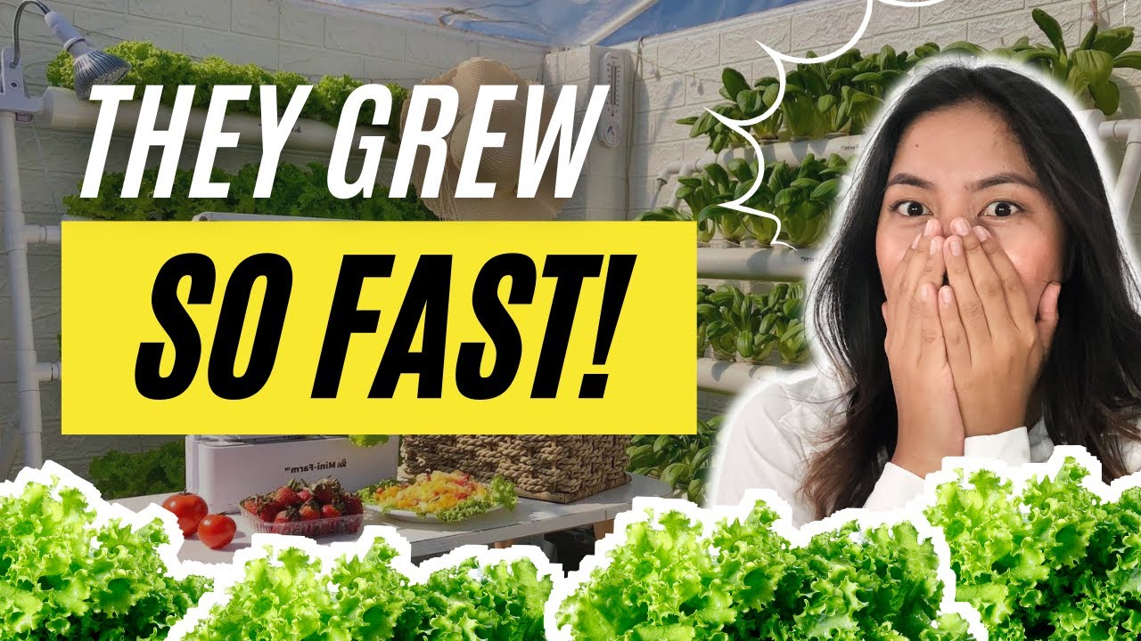 The Beginner's Guide to Hydroponics - Free Online E-course