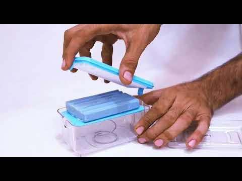 Soap roller dispenser