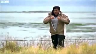 Buckcherry Broken Glass Lyrics