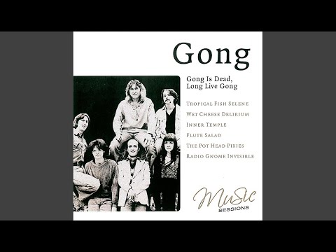 Mister Long Shanks O Mother I Am Your Fantasy - Gong