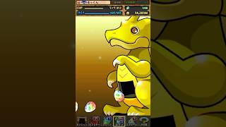 魔法石5個！星を紡ぐ精霊フェスガチャ2026を10連した結果…#パズドラ　#星を紡ぐ精霊