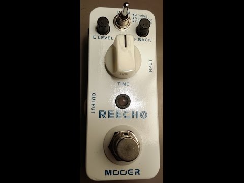 Mooer Reecho Digital Delay Demo (HQ Audio)