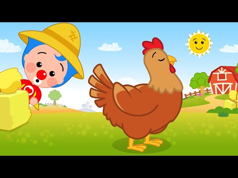 Galinhazinha 🐔 | Música Infantil com Um Herói do Coração ❤️