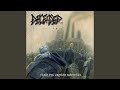 Night of the Deceased