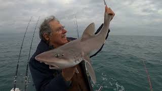 Sea fishing the Kelp beds finally got the boat some action