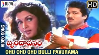 Brindavanam Telugu Movie Songs  Oho Oho Bulli Pavu