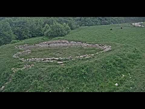 Libearty Bear Sanctuary: A Haven for Rescued Bear Souls