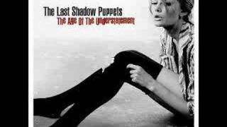 The last shadow puppets - My mistakes were made for you