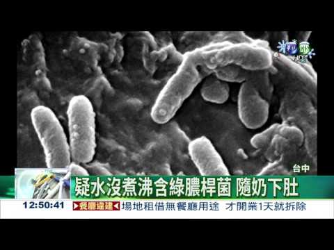 水含綠膿桿菌 9月嬰起疹險丟命