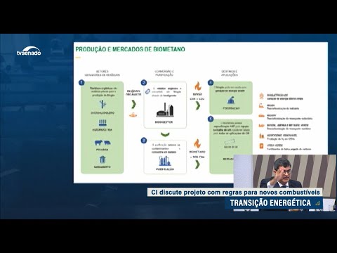 Novos combustíveis: debate na CI aponta medidas para incentivo ao setor de biogás