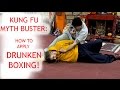 Kung Fu Myth Buster:  How to apply Drunken Boxing!!