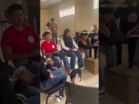 Alboreando Sueños en el Municipio de Nátaga - Huila 🍃✨